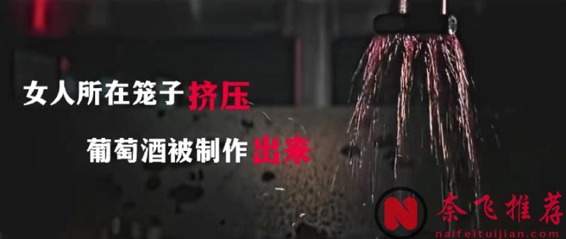 2025美國最新恐怖爽片《腥心眼/情人節大逃殺/心眼殺手》，情人節竟變情侶獵殺日？結局還有逆天大反轉！