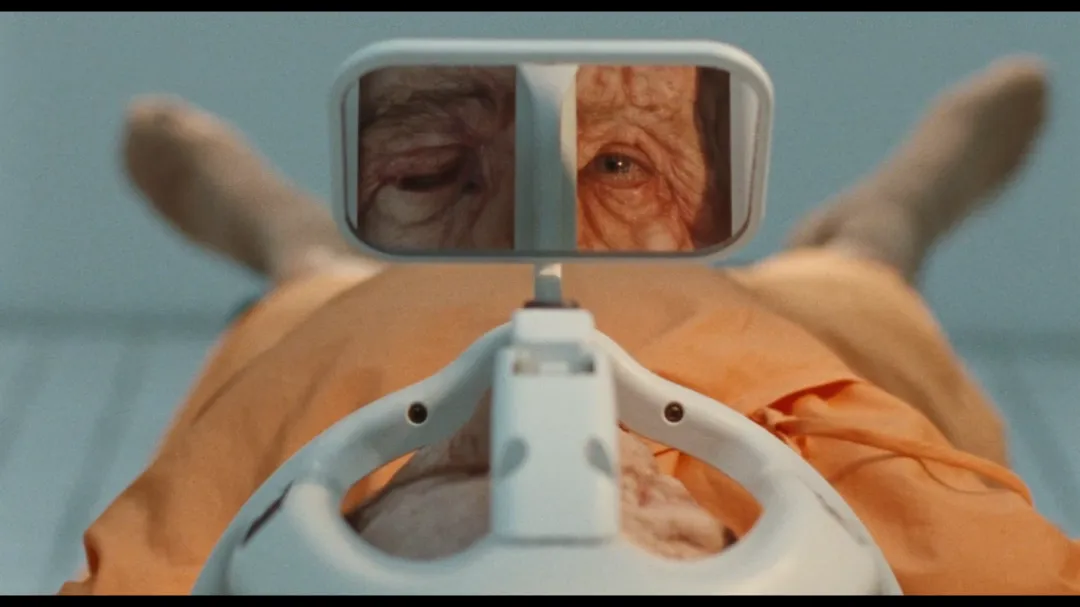 A24重口新作《不同的男人/非常男人》，性转版《某种物质/完美物质/惧裂》！