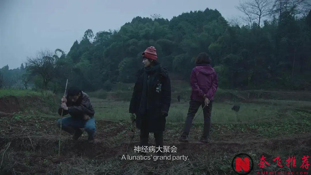 风格化科幻喜剧电影《宇宙探索编辑部》，花语伪科幻片中的佼佼者！