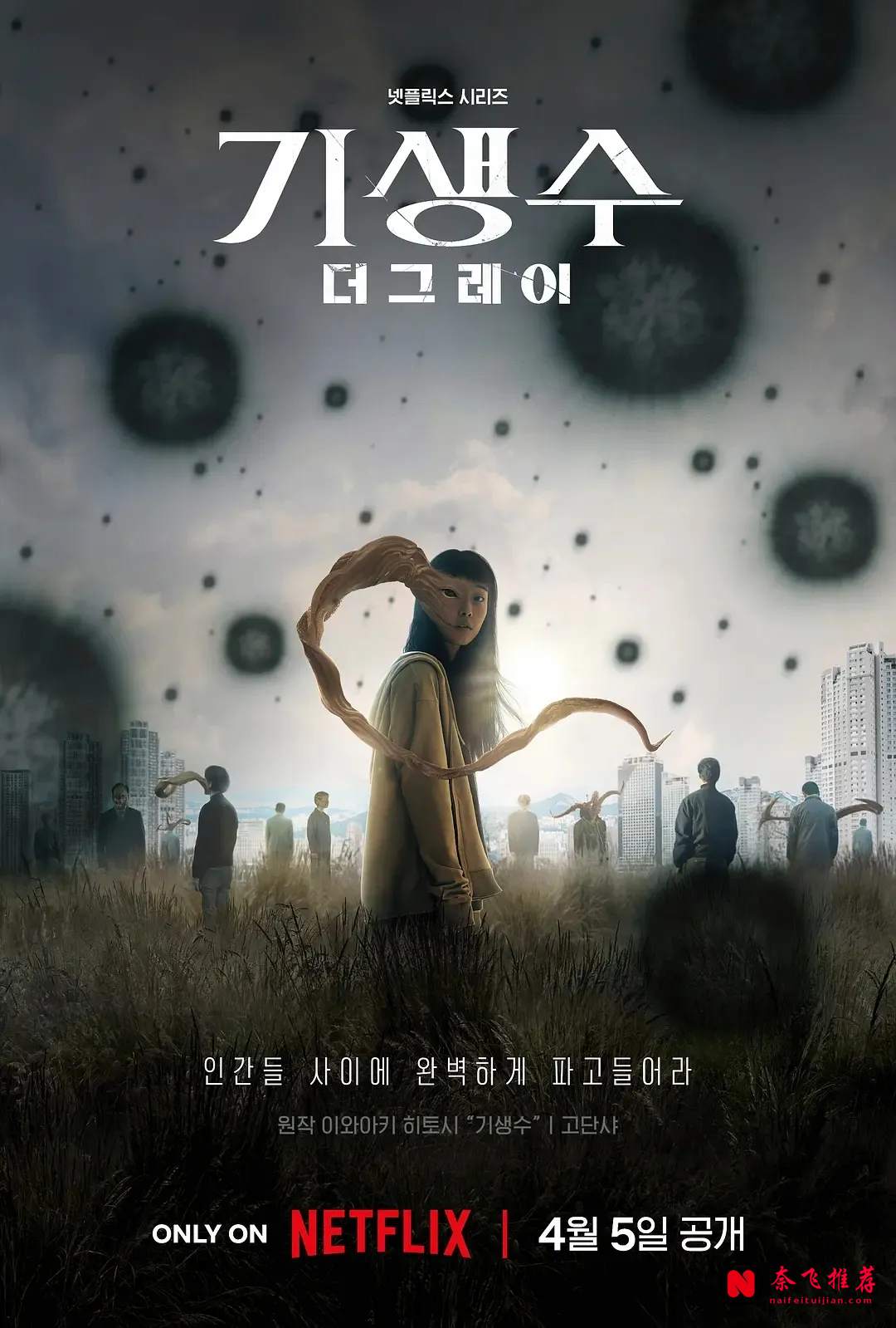Netflix高口碑韩剧推荐：5部平均8.7分的必看清单