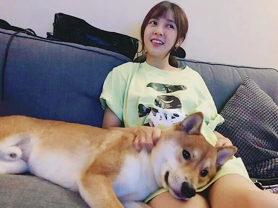 直到我看了《爱的噩梦》 ，才发现，原来「脱单」只是「噩梦」的开始…