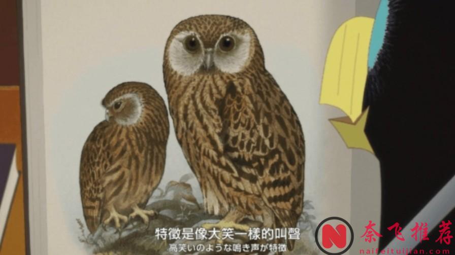 這部日本動畫電影《北極百貨店的接待員/北極百貨的秋乃小姐》絕對被嚴重低估！