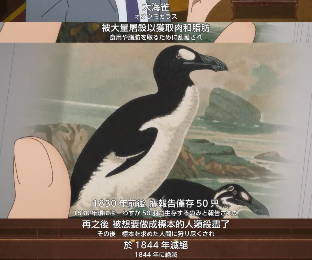 這部日本動畫電影《北極百貨店的接待員/北極百貨的秋乃小姐》絕對被嚴重低估！