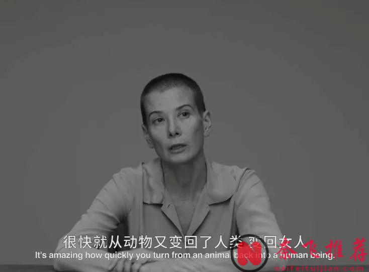 直擊人性的戰爭片《戰爭天堂/見地獄見天堂/尋找天堂的3個人》，看得令人窒息！