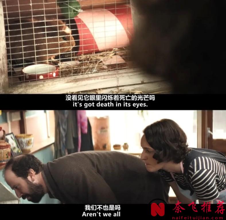 从8.9涨到9.5，女主始终再用玩世不恭的表现来掩盖内心的痛苦，这部剧《伦敦生活/邋遢女郎》既丧又好看！