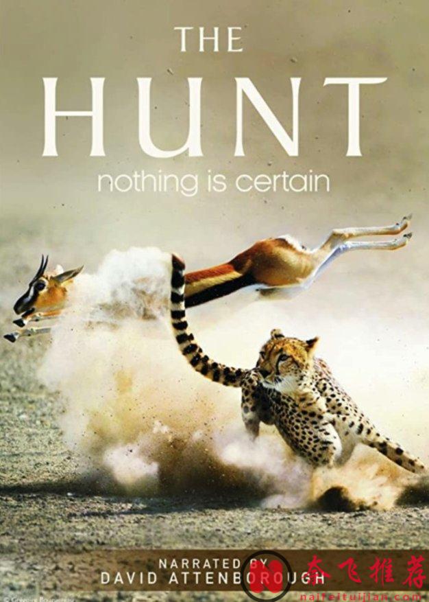 最高9.8分，零差評，這五部紀錄片神作值得一看