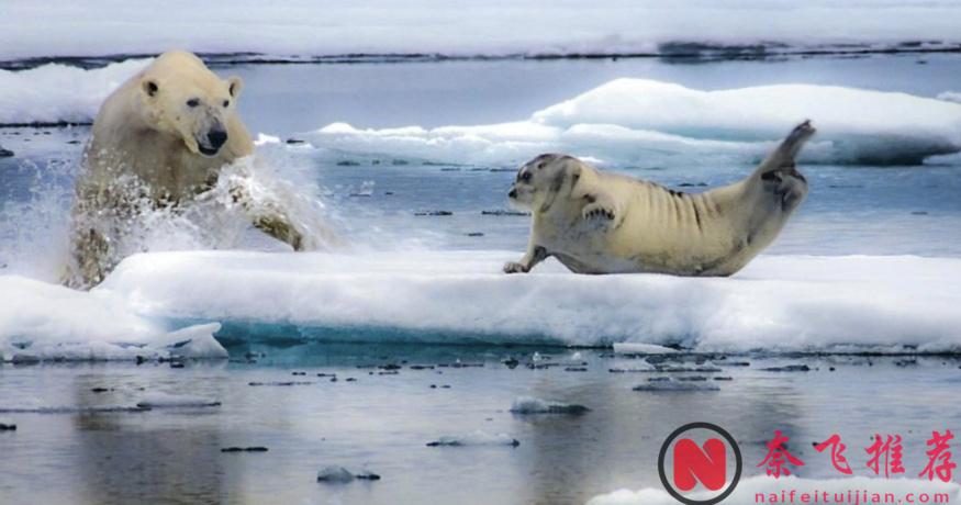 最高9.8分，零差評，這五部紀錄片神作值得一看