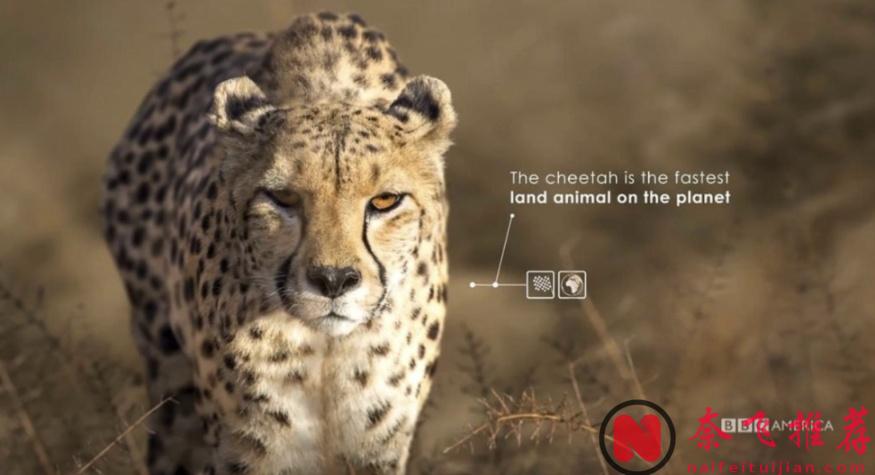 最高9.8分，零差評，這五部紀錄片神作值得一看