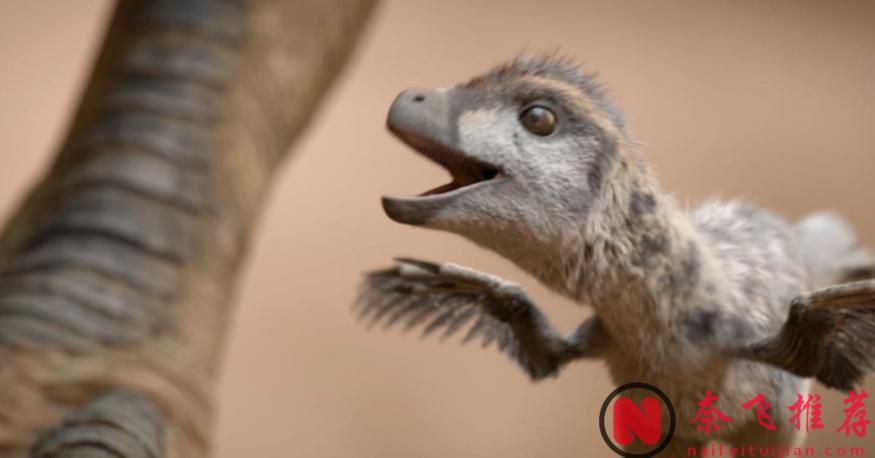 最高9.8分，零差評，這五部紀錄片神作值得一看