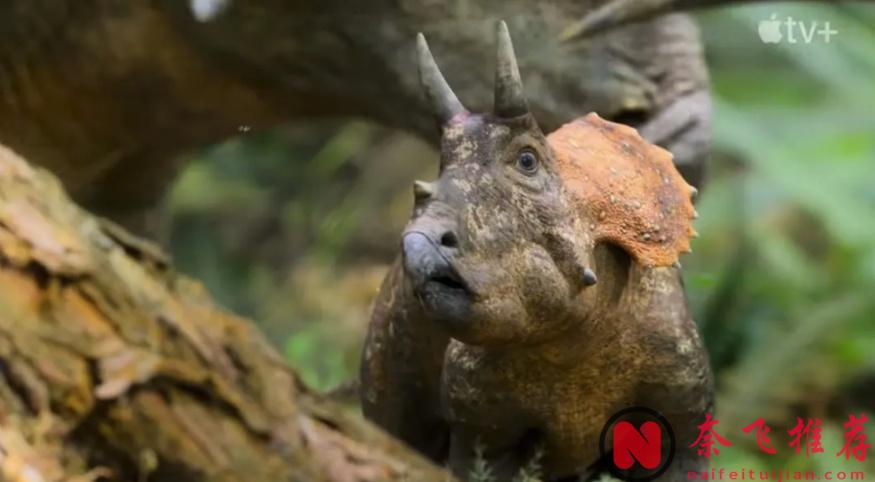 最高9.8分，零差評，這五部紀錄片神作值得一看