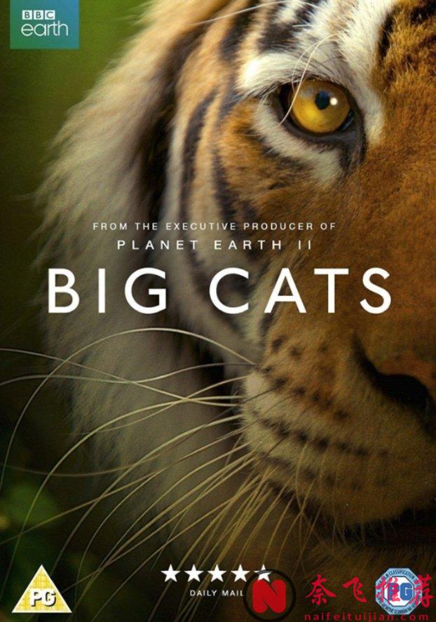 最高9.8分，零差評，這五部紀錄片神作值得一看