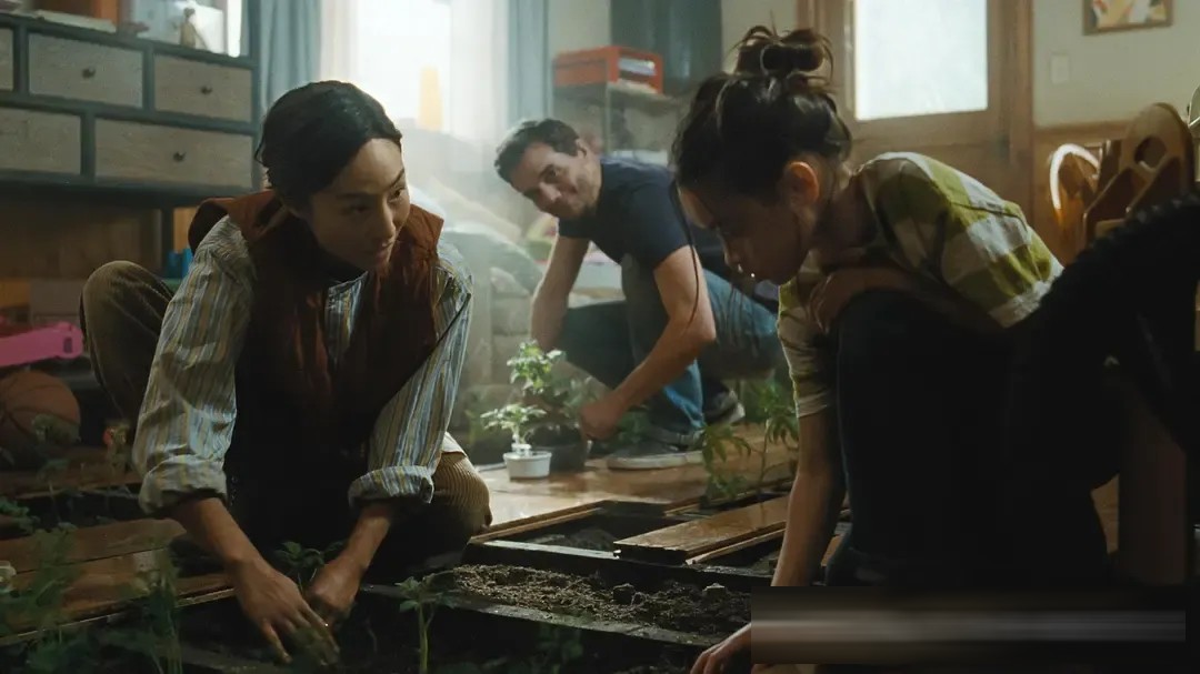 Netflix《最后孤屋》:一家四口被封死在屋里数年,观众爱看影评人不买账