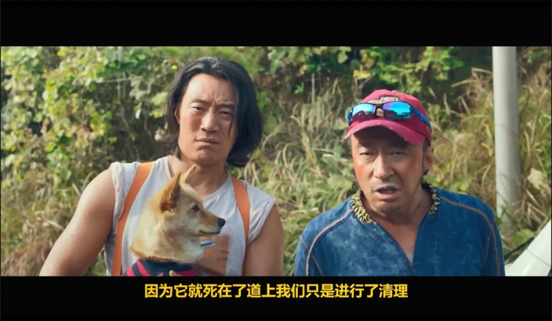 笑出猪叫！分享一部超级解压且有深意的韩国喜剧电影《帅哥们/找死凶宅》！