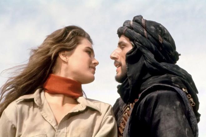 波姬·小丝/布鲁克·希尔兹为艺术献身的6部电影，每部都适合成年人观看