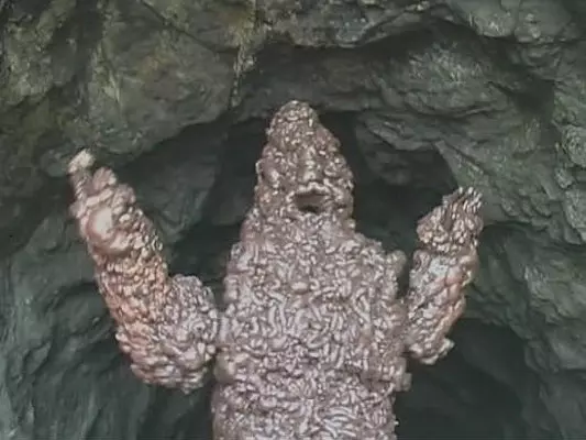 推薦5部超級重口味電影，突破底線禁忌的血肉狂歡