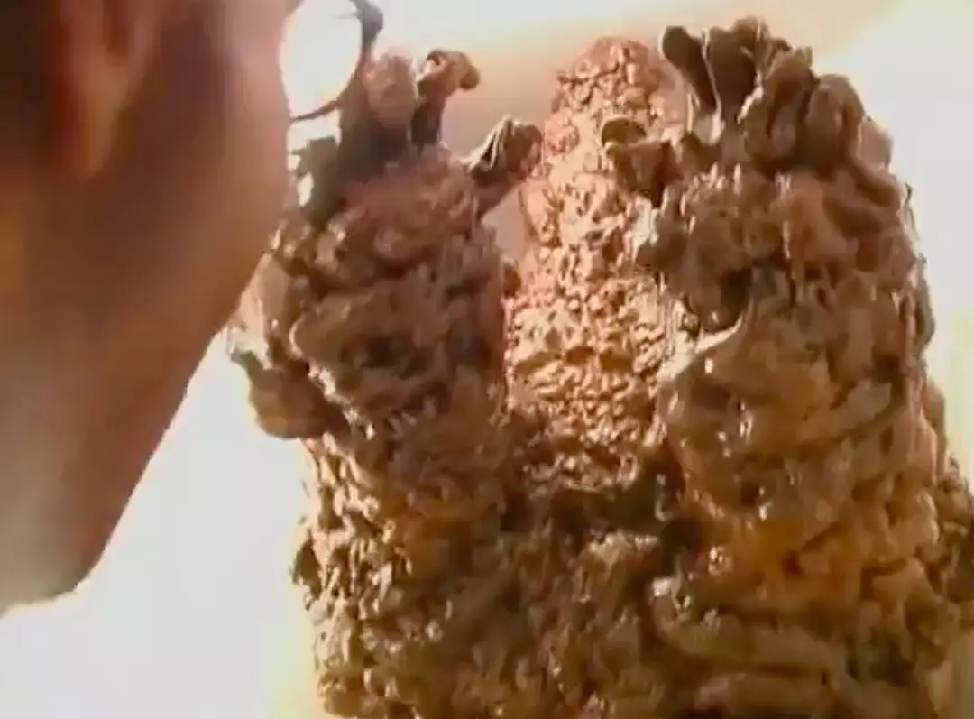 推薦5部超級重口味電影，突破底線禁忌的血肉狂歡