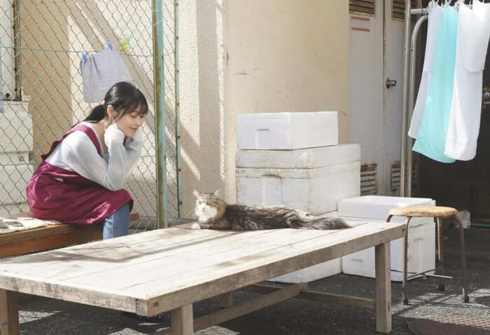 Netflix电影《千寻小姐》评价心得，你不需要再去任何地方了