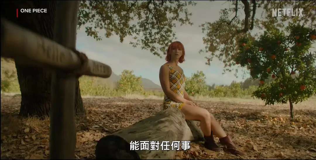 Netflix王炸神劇 《海賊王 真人版 》，風靡全球！