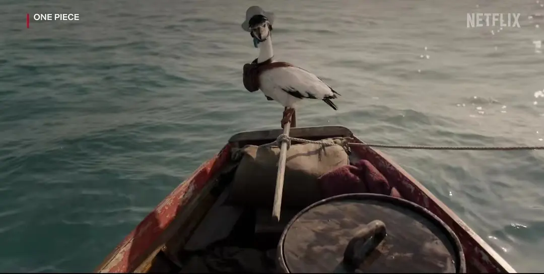 Netflix王炸神劇 《海賊王 真人版 》，風靡全球！
