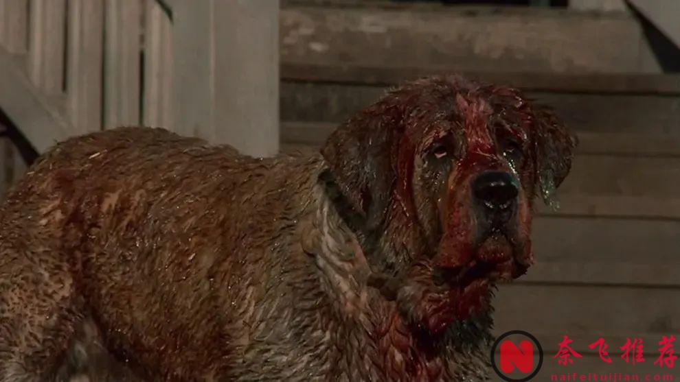 《狂犬惊魂》推新版；《电锯惊魂11/恐惧斗室XI/夺魂锯XI》或泡汤