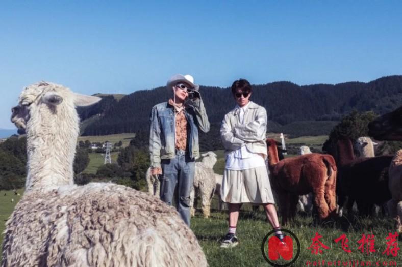 演员王炸，未播先火！这部台综《出去一下》，妥妥爆款！