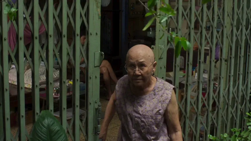 年度口碑神作《姥姥的外孫/全職乖孫/金孫爆富攻略》，推薦每個人去看！