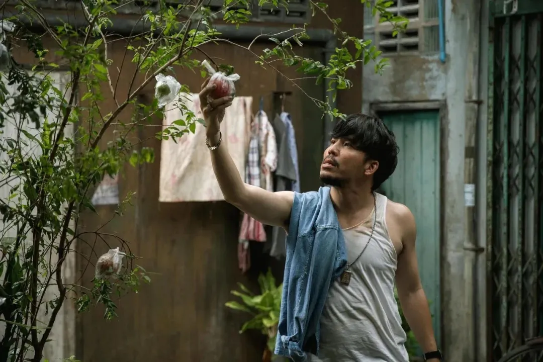 年度口碑神作《姥姥的外孫/全職乖孫/金孫爆富攻略》，推薦每個人去看！