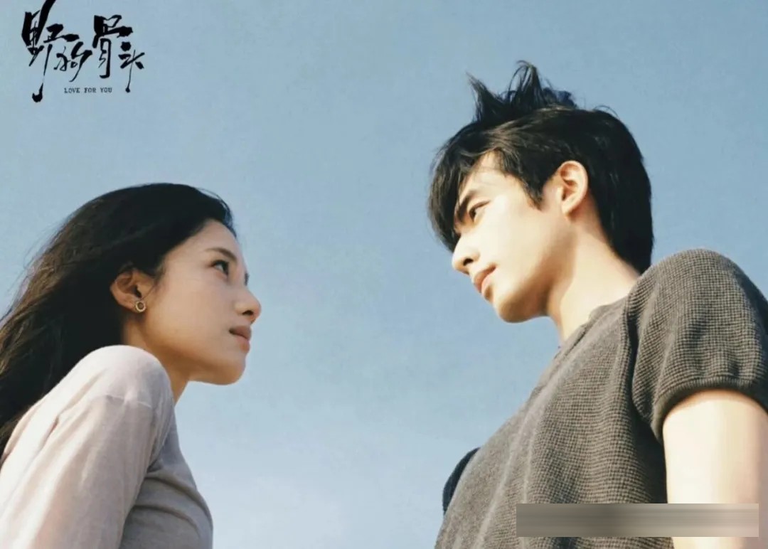 不是所有野狗,都能找到属于自己的那根骨头~《野狗骨头》