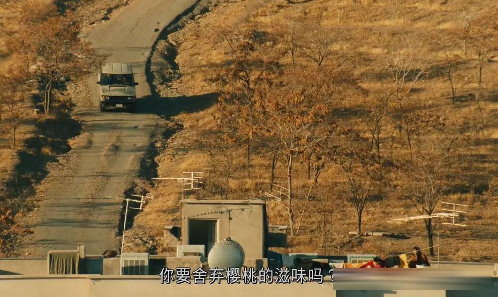 伊朗电影十大经典:从《小鞋子》到《一次别离》