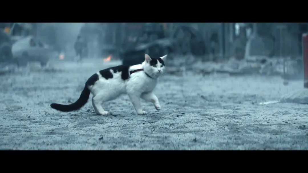 根本不敢出聲！今夏最高能的驚悚爽片來了！