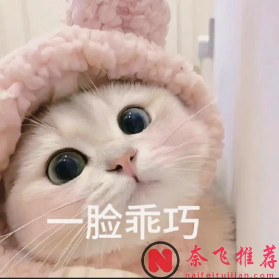 终于官宣了！《全职猎人》漫画将于6月29日连载再开！