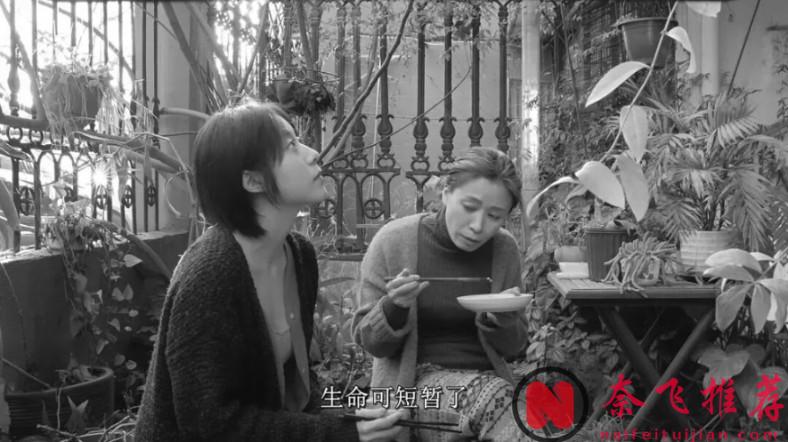 5部敢於突破的電影，劇情很狗血，但是女主真的很美！每一部都很有衝擊力