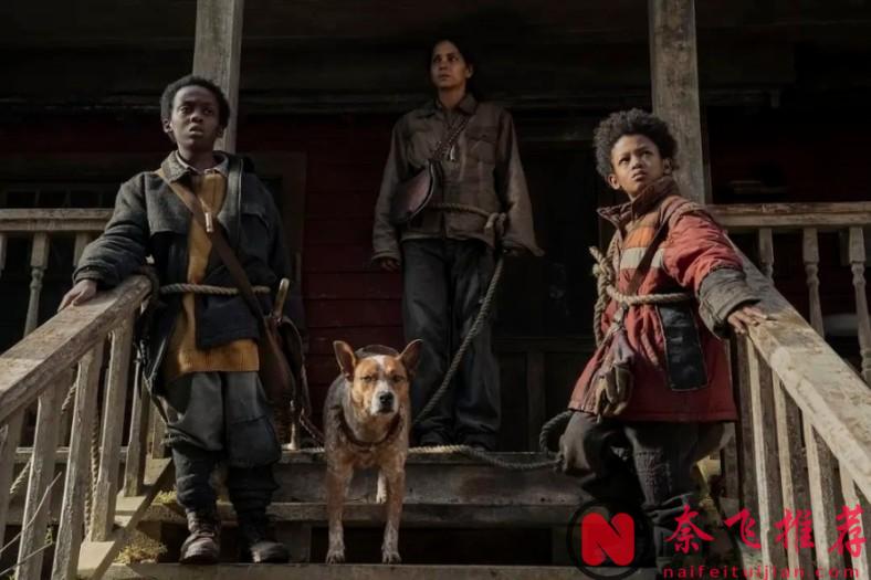 【避坑指南】聊聊近期上映的两部恐怖烂片《千万别松手》和《地狱男爵：歪曲人》！