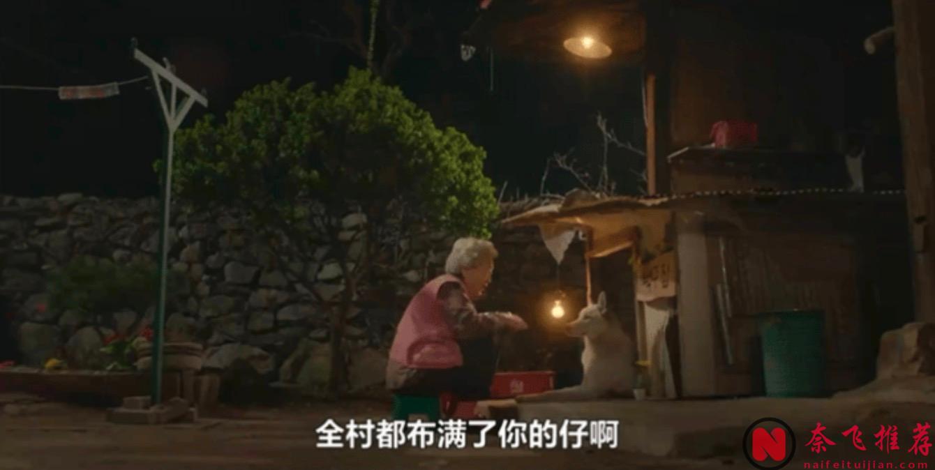 太猛了！18禁喜剧《我讨厌炸猪排》，韩国编剧又整活儿了！