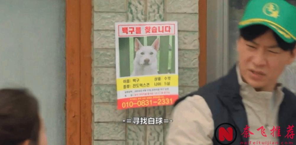 太猛了！18禁喜剧《我讨厌炸猪排》，韩国编剧又整活儿了！