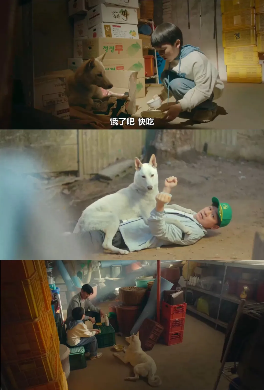 太猛了！18禁喜剧《我讨厌炸猪排》，韩国编剧又整活儿了！