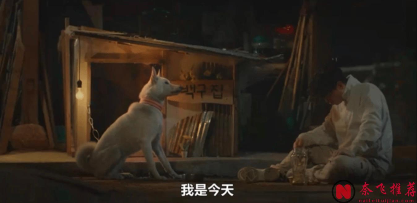 太猛了！18禁喜剧《我讨厌炸猪排》，韩国编剧又整活儿了！