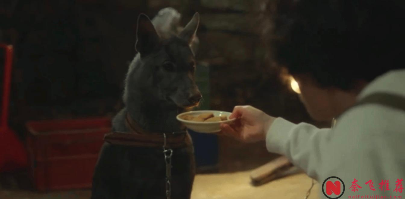 太猛了！18禁喜剧《我讨厌炸猪排》，韩国编剧又整活儿了！