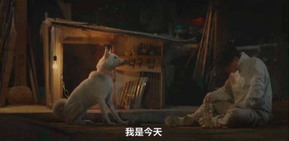 太猛了！18禁喜剧《我讨厌炸猪排》，韩国编剧又整活儿了！
