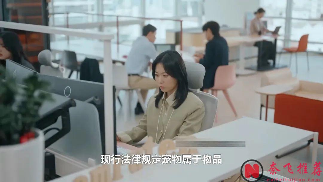 又一部溫馨韓劇《喵育權戰爭》，一口氣看完，連離婚都能拍的這麼浪漫