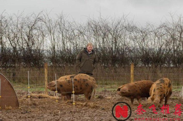 又是9.6高分！你大爷还是你大爷！