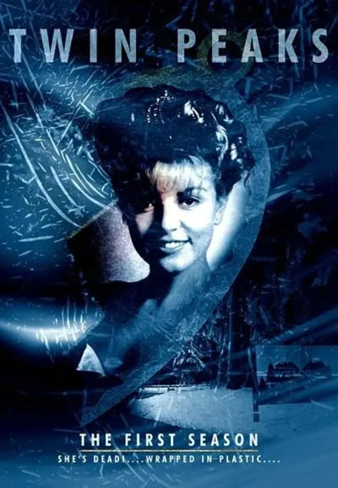 美女如雲，出軌不斷，這部獲艾美獎8項大獎的懸疑美劇《雙峰》不可多得！