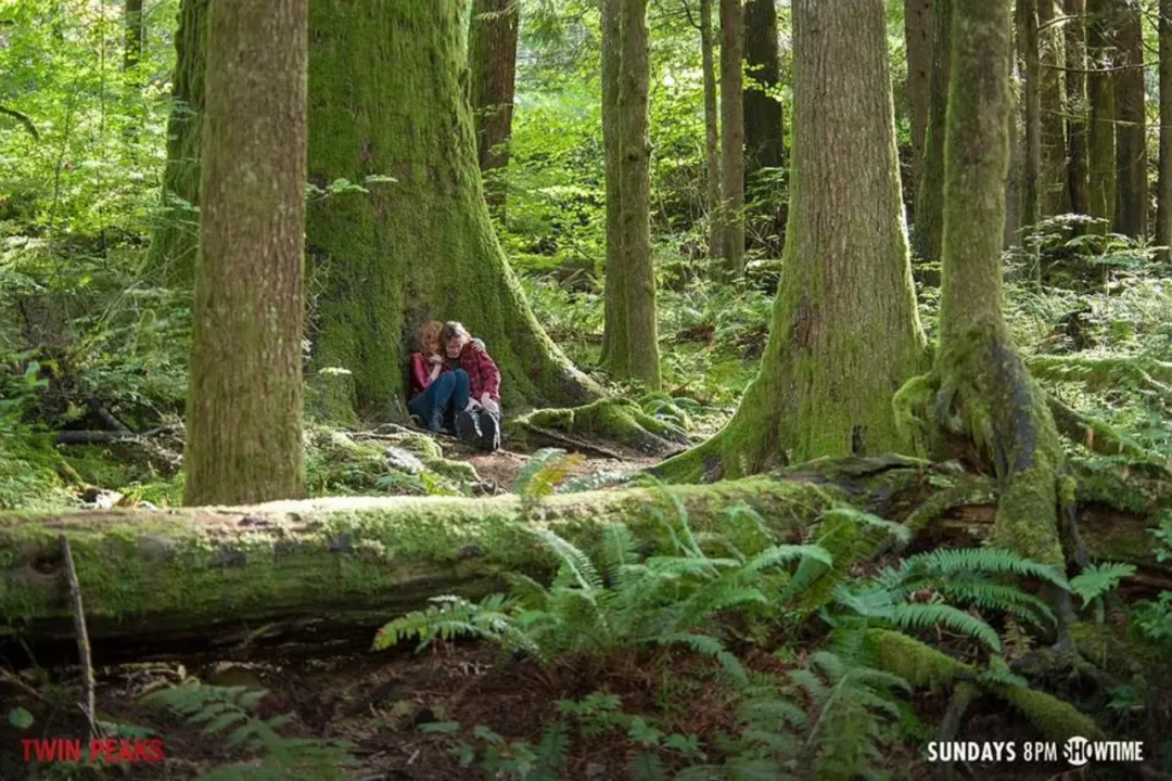 美女如雲，出軌不斷，這部獲艾美獎8項大獎的懸疑美劇《雙峰》不可多得！