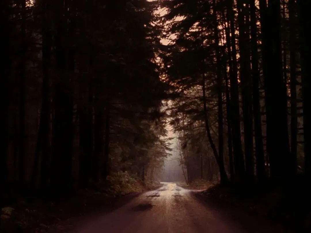 美女如雲，出軌不斷，這部獲艾美獎8項大獎的懸疑美劇《雙峰》不可多得！