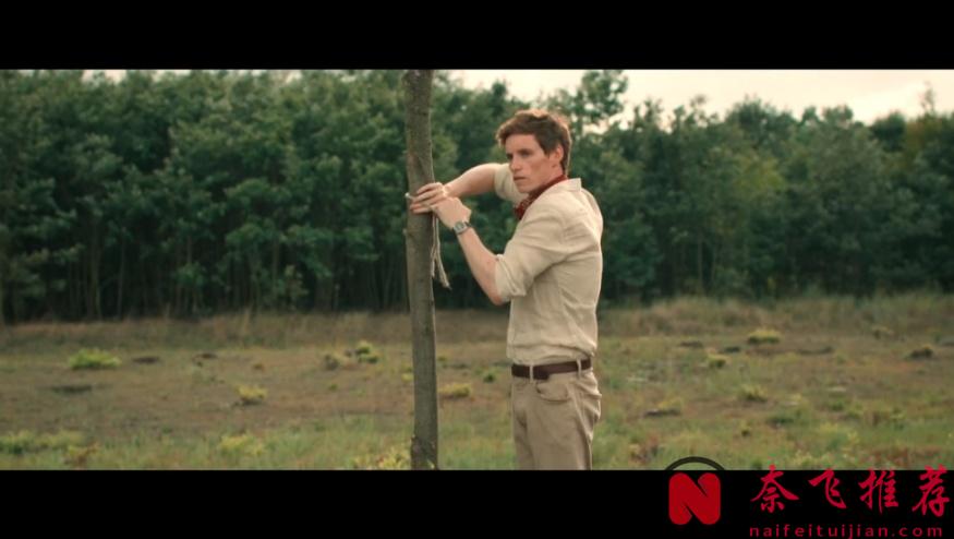 凭解说一部《豺狼的日子》特工剧涨粉千万，什么现象级王炸？！