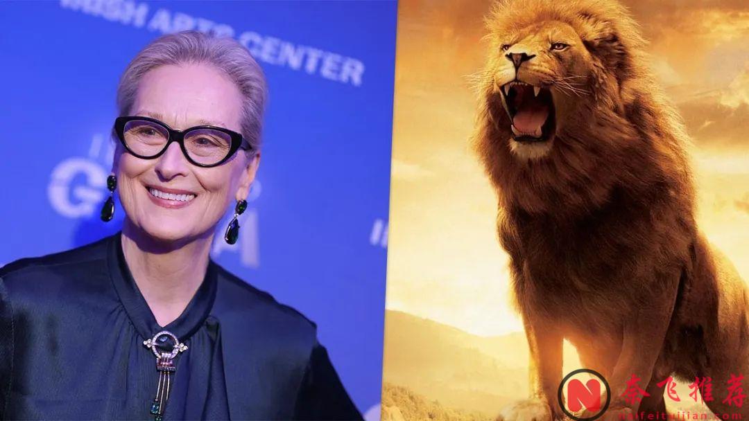 终于官宣！剧版《哈利波特》首波选角你满意吗？007之后，又有梅姨或加盟《纳尼亚》？