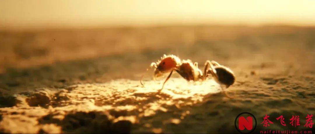 这全球“性启蒙”电影《西西里的美丽传说/真爱伴我行》，背后深意何止是性？