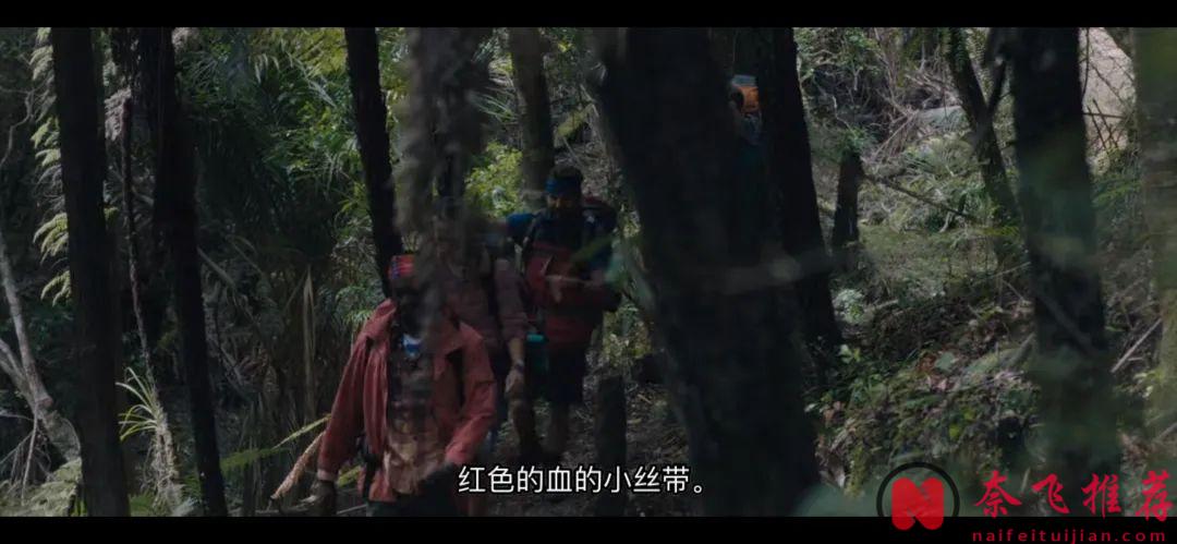 氛围超吓人的丛林惊悚片《环形轨道》，谜团不断出现，直到最后一幕...