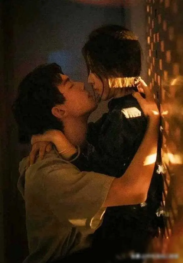 Netflix「隐藏的甜蜜」：十部值得一看的爱情陆剧推荐