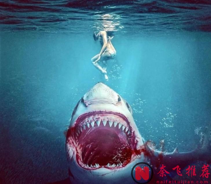 三部新鯊魚片確認，Netflix 鯊魚大片即將上線